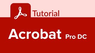 Acrobat Pro DC Tutorial [upl. by Genet]