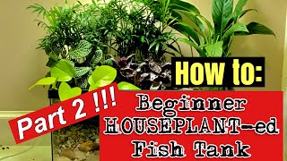 🪴🐟‼️How to Build a Beginner HOUSEPLANTed Fish Tank PART 2‼️🐟🪴 [upl. by Olin]