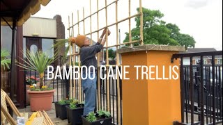 A quick and easy way to build the bamboo cane trellis on the railing [upl. by Charla703]