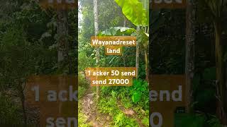 Wayanad Resort land 1 acre 50 sendrs270008547564613 [upl. by Nirhtak595]