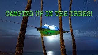 Tentsile Stingray Our First Tree Tent Camping Experience [upl. by Llezo62]