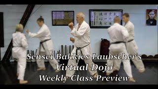 Bakkies Laubscher’s Virtual Dojo 2024 Week 10 Clas [upl. by Cerallua134]