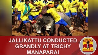 DETAILED REPORT  Jallikattu Conducted Grandly at Trichy Manaparai  Thanthi TV [upl. by Ecyaj409]