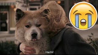 TOP 5 PELÍCULAS MAS TRISTES SOBRE LOS PERRITOS este vídeo te hará llorar [upl. by Jannery480]