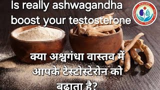 Does Ashwagandha Increase Your Testosteroneक्या वाकई अश्वगंधा यौन क्षमता को बढ़ाता है [upl. by Gnahk]