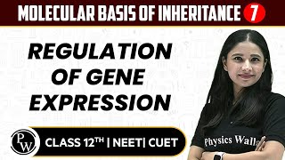 Molecular Basis of Inheritance 07  Regulation of Gene Expression  Pure English  12th  NEETCUET [upl. by Dory]