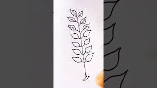 How do you draw pinnately compound leaf [upl. by Ojyma]