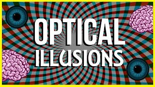 How and Why do Optical Illusions Work [upl. by Langsdon]