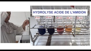 Hydrolyse acide et à chaud de lamidon TP [upl. by Richia93]