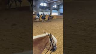 Did drill team stuff on Monday this week horses barn equestrian pony horsegirl fyp [upl. by Reinhard]