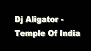 DJ Aligator  Temple Of India [upl. by Ecydnarb]