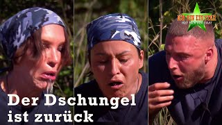 Preview auf die diesjährige DschungelStaffel 🥳 Das erwartet unsere Stars  1  Dschungelcamp 2022 [upl. by Otreblon873]