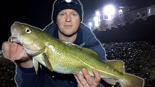 North East Cod fishing  Sea Fishing UK [upl. by Milson]