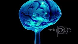 Neuroanatomy The Cerebrospinal Fluid CSF [upl. by Annohs]