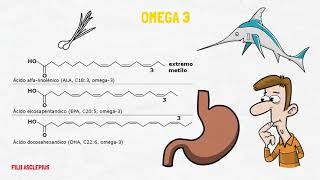 OMEGA 3  PARA QUÉ SIRVE Y CUALES SON SUS BENEFICIOS EN LA SALUD [upl. by Jacquetta]