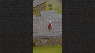 The OSRS Mindset oldschoolrunescape stitch gaming osrsmmo osrsmeme osrswiki osrspk [upl. by Jonell]