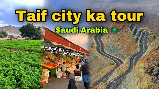 Taif city Saudi Arabia 🇸🇦  taif city urdu  Abdul Latif chohan [upl. by Sokem472]