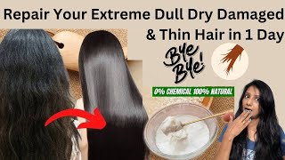 9 Days नवरात्रि DAMAGED HAIR CHALLENGE Repair Your Extreme Dull Dry Damaged ampThin Hair in 1 Day [upl. by Harte]