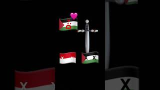 🩷🇵🇸🩷 tries kill 🇵🇸amp🇮🇩🗡️ [upl. by Leitman435]