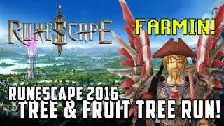 Runescape 3  2016 Tree and Fruit tree farming run [upl. by Inoliel]