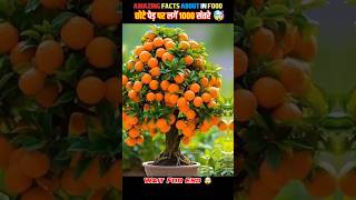 Top 10 Amazing facts about food 🥝🍎 food fact in Hindi facts shorts shortsfeed food yoga fruit [upl. by Nela]