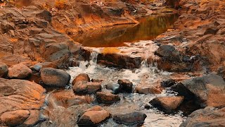 Flowing river sounds to relieve anxiety and stress after a hard days work asmr sounds for sleep [upl. by Casandra]