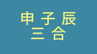 許願姓名學、十二生肖、申子辰三合、 姓名分析ep12 [upl. by Aelgna287]