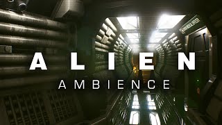 A L I E N  Ambience  One Hour Alien Ambient [upl. by Ecylla602]