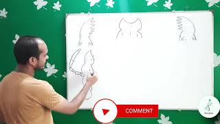 How to draw the mouth parts of a grasshopper easy tricks [upl. by Margaret]