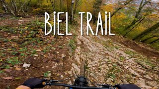 Biel Trail Magglingen  Downhilltrail in Bern [upl. by Geier505]