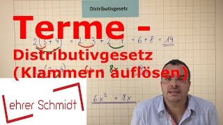 Terme  Distributivgesetz Klammern auflösen  Terme und Gleichungen  Mathematik  Lehrerschmidt [upl. by Sweet177]