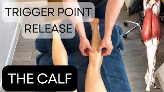 Trigger point release  The Calf [upl. by Ehrman]