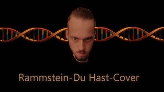 Rammstein  Du Hast Cover [upl. by Elnukeda]