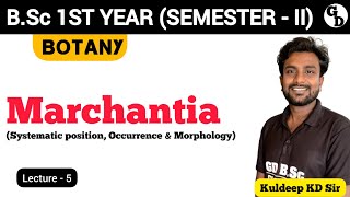 Lec05  Morphology of Marchantia  BSc 1st Year  2nd Semester Botany  By KD Sir [upl. by Hackney216]