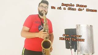 Tu si a fine do munnu  Angelo Famao  sax cover Peppe Trisax [upl. by Let]