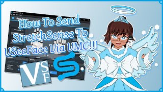 How To Send StretchSense To VSeeFace Via VMC [upl. by Ramar]