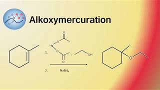 Alkoxymercuration Example Mechanism Synthesis of 1Ethoxy1methylcyclohexane  Organic Chemistry [upl. by Tita255]