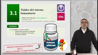 31 TEJIDOS DEL SISTEMA INMUNITARIO [upl. by Ydorb]