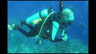 2023 little Cayman Dive Adventure [upl. by Nay]