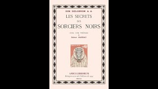 ANALYSE DE quotLES SECRETS DES SORCIERS NOIRSquot DE DIMDELOBSOM OUEDRAOGO [upl. by Naerad961]