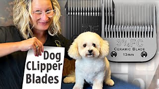 Dog Grooming Clipper BladesEverything You Need to Know [upl. by Dollar935]