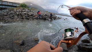 SNAGGING SILVER SALMON IN SEWARD ALASKA  BEST FISHING HOLE REVEALED [upl. by Eno]