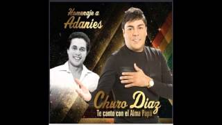 15 Juana  Churo Diaz Homenaje a Adaníes Díaz [upl. by Noraed250]