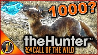 A Perfect 1000 Diamond  theHunter Call of the Wild 2018 [upl. by Nitsirhc232]