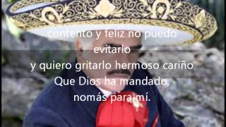 Hermoso cariño Vicente Fernandez con letra [upl. by Latsyrk483]