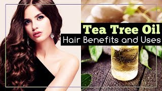 Tea Tree Oil for Hair Benefits and Uses [upl. by Aneeuqal]