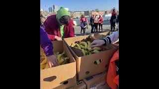 NN Rotterdam Marathon Walk 🥾🥾🥾 [upl. by Kushner]