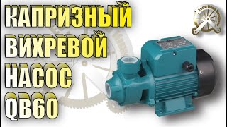 Капризный вихревой насос QB60 [upl. by Lawtun788]