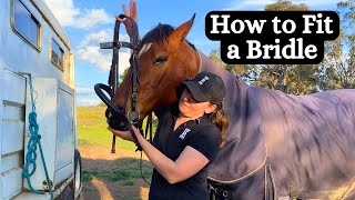 How to Fit a Bridle For The First Time  Horse Bridle Fitting Tutorial  Horse Saddlery Tutorial [upl. by Rosena]