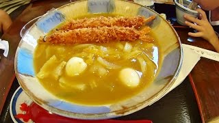 【めし動画】 ご当地グルメ 豊橋カレーうどん 清水庵 [upl. by Zanze]